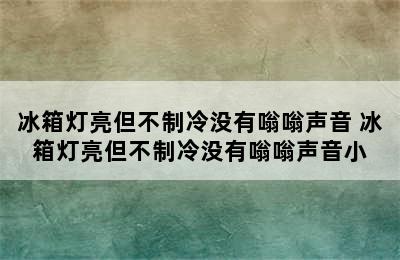 冰箱灯亮但不制冷没有嗡嗡声音 冰箱灯亮但不制冷没有嗡嗡声音小